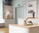 “恐龍萬‘物’文創秀”在自貢恐龍博物館恐龍探秘管開幕了